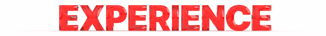 Experience Logo